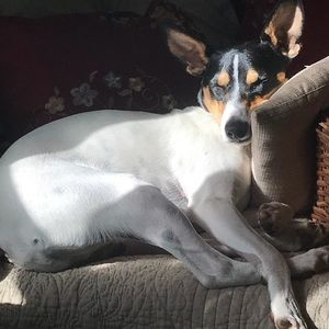 Meet your Posher, Heidi